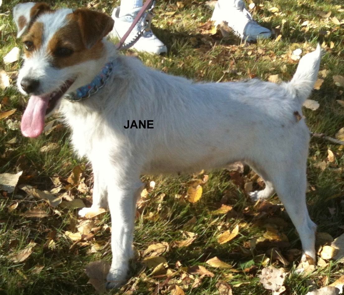 Jane